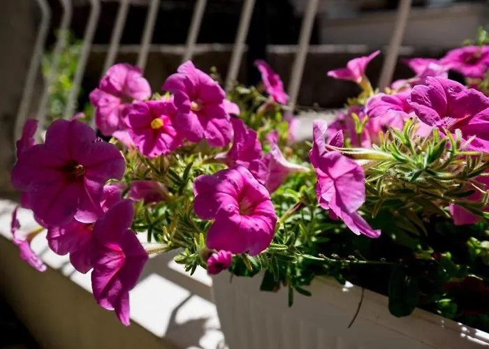 Pensionat Batina Dubrovnik