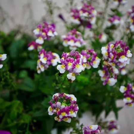 게스트하우스 룸스 바티나